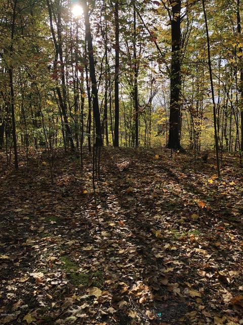 2334 138th Ave, Dorr, MI 49323 photo 5