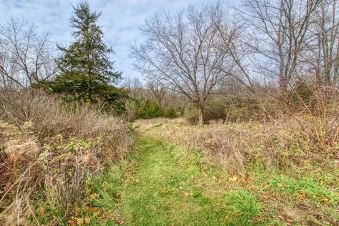 7673 Silverthorn Dr SE, Ada, MI 49301 photo 14