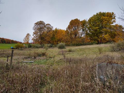 3083 S Tuttle Rd, Custer, MI 49405 photo 7