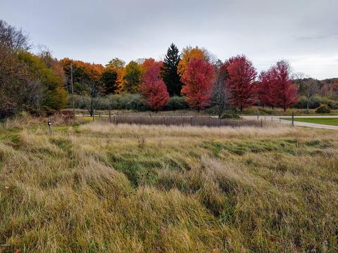 3083 S Tuttle Rd, Custer, MI 49405 photo 6
