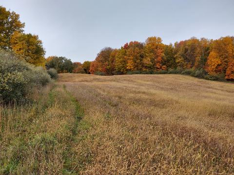 3083 S Tuttle Rd, Custer, MI 49405 photo 5