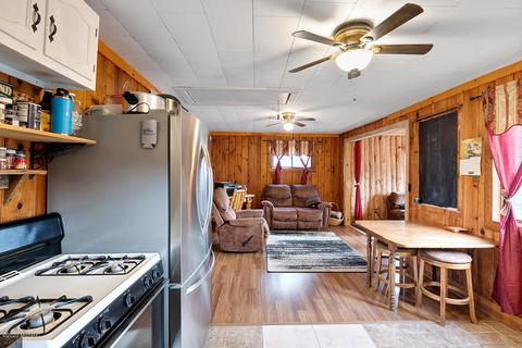412 Adele Dr, Trufant, MI 49347 photo 4