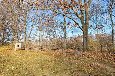 412 Adele Dr, Trufant, MI 49347 photo 28