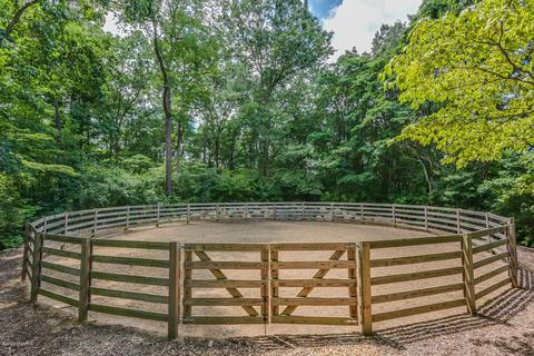 10269 Corey Bluff Rd, Three Rivers, MI 49093 photo 69