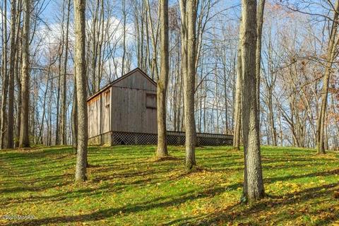 14738 E Wagner Rd, Buchanan, MI 49107 photo 20