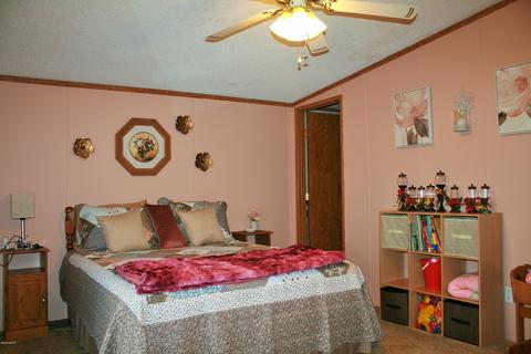 9247 Weeks Rd, Olivet, MI 49076 photo 25