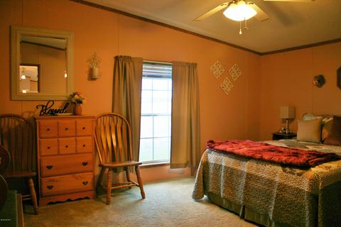 9247 Weeks Rd, Olivet, MI 49076 photo 26