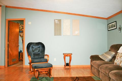 9247 Weeks Rd, Olivet, MI 49076 photo 19
