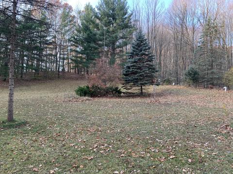 4757 S Ordway Rd, Custer, MI 49405 photo 16