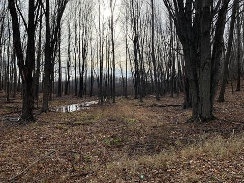 4757 S Ordway Rd, Custer, MI 49405 photo 14