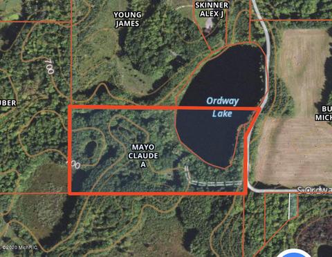 4757 S Ordway Rd, Custer, MI 49405 photo 19