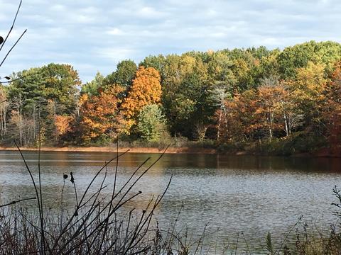 4757 S Ordway Rd, Custer, MI 49405 photo 4