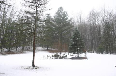 4757 S Ordway Rd, Custer, MI 49405 photo 22