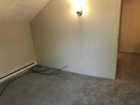 315 N Main St, Buchanan, MI 49107 photo 9