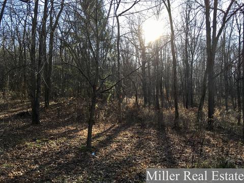 310 Geething Ln, Dowling, MI 49050 photo 46
