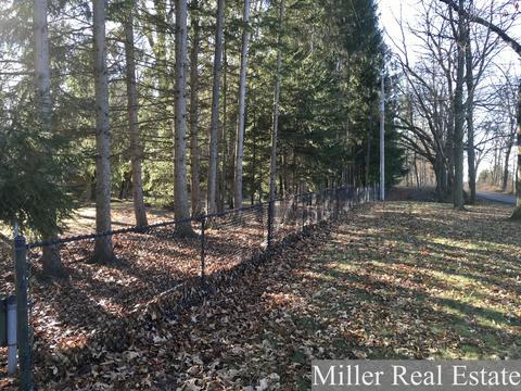 310 Geething Ln, Dowling, MI 49050 photo 37