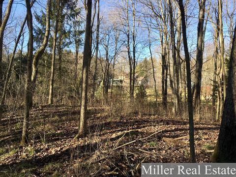 310 Geething Ln, Dowling, MI 49050 photo 48
