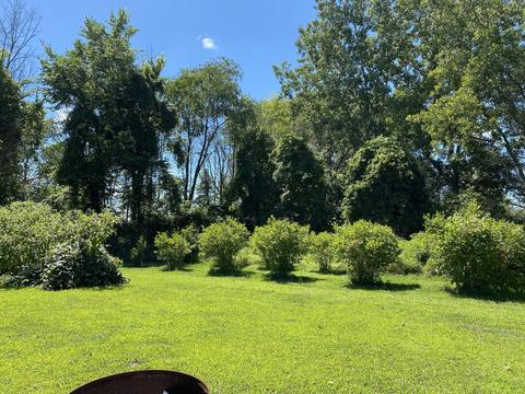 11383 Willow Ave, Grant, MI 49327 photo 61