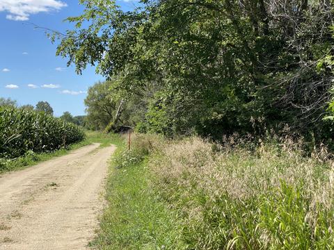 11383 Willow Ave, Grant, MI 49327 photo 57