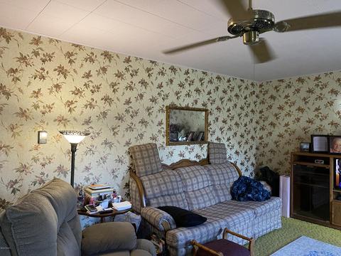 11383 Willow Ave, Grant, MI 49327 photo 22