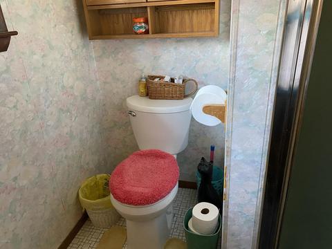 11383 Willow Ave, Grant, MI 49327 photo 16