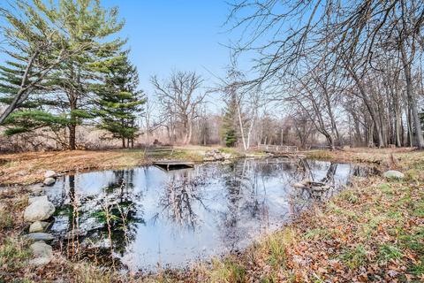 87 Royal Rd, Springfield, MI 49037 photo 9