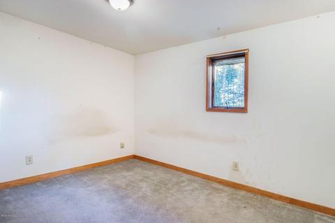 54538 M-66, Mendon, MI 49072 photo 10