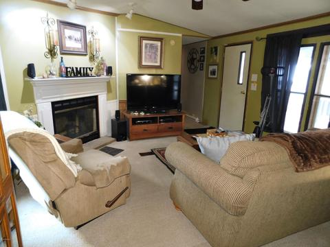 4212 E 124th St, Grant, MI 49327 photo 6