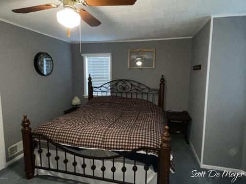 218 S First St, Edmore, MI 48829 photo 18