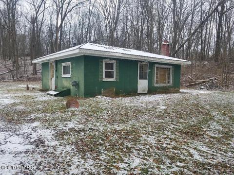 9536 S Ionia Rd, Bellevue, MI 49021 photo 1