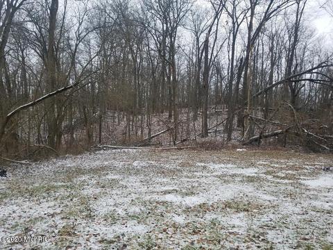 9536 S Ionia Rd, Bellevue, MI 49021 photo 3