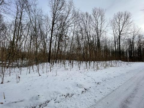 55 Th St, Pullman, MI 49450 photo 5