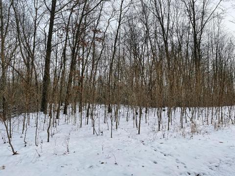 55 Th St, Pullman, MI 49450 photo 6