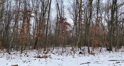 55 Th St, Pullman, MI 49450 photo 4