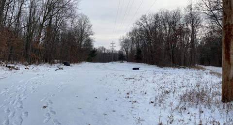 55 Th St, Pullman, MI 49450 photo 3