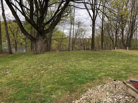 703 Warren St, Marshall, MI 49068 photo 10