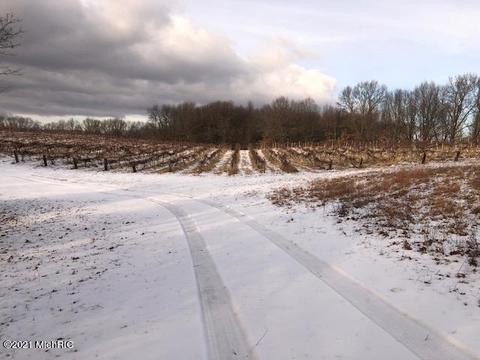 22320 E Mcgillen St, Mattawan, MI 49071 photo 17