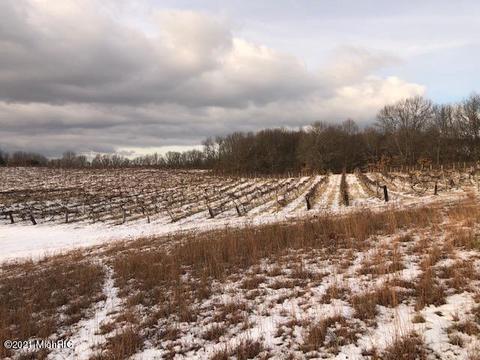 22320 E Mcgillen St, Mattawan, MI 49071 photo 20