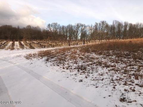 22320 E Mcgillen St, Mattawan, MI 49071 photo 18
