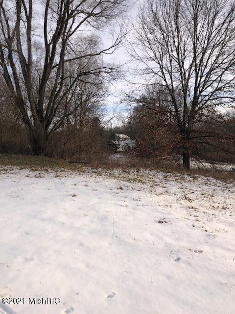 22320 E Mcgillen St, Mattawan, MI 49071 photo 22