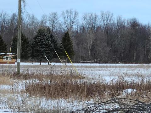 10089 E Stanton Rd, Crystal, MI 48818 photo 3