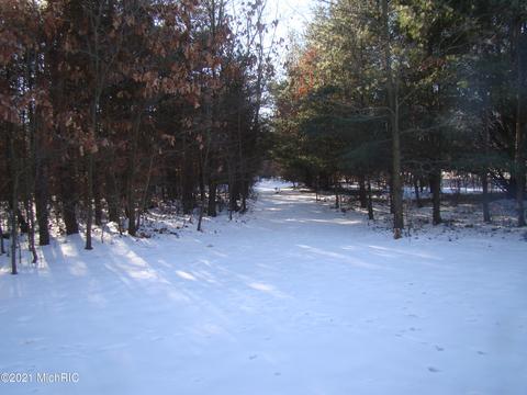 3262 138th Ave, Hamilton, MI 49419 photo 44