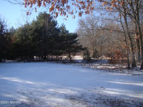 3262 138th Ave, Hamilton, MI 49419 photo 43