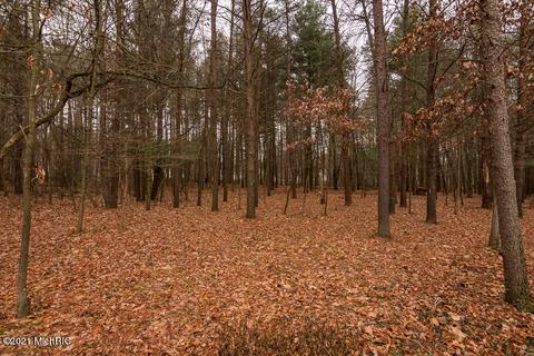 27765 60th Ave, Mattawan, MI 49071 photo 71
