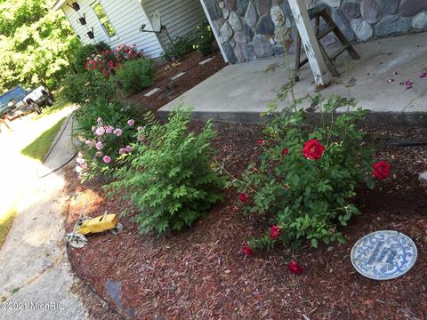 3465 34th St, Hamilton, MI 49419 photo 18