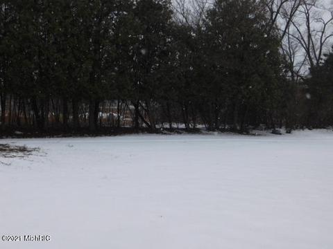 8613 E Loop Rd, Hesperia, MI 49421 photo 7