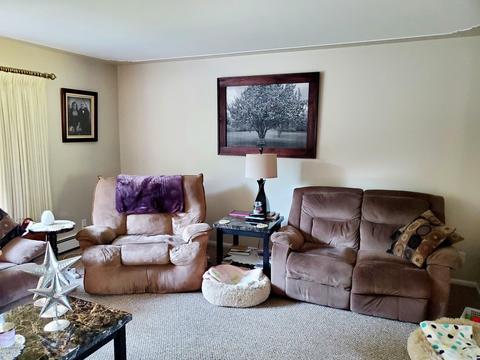931 Warner St, Whitehall, MI 49461 photo 12
