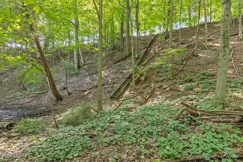 345 River Place Dr, Lowell, MI 49331 photo 25
