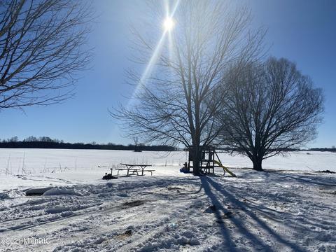 4482 E Bippley Rd, Sunfield, MI 48890 photo 8