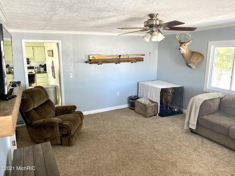 4482 E Bippley Rd, Sunfield, MI 48890 photo 18